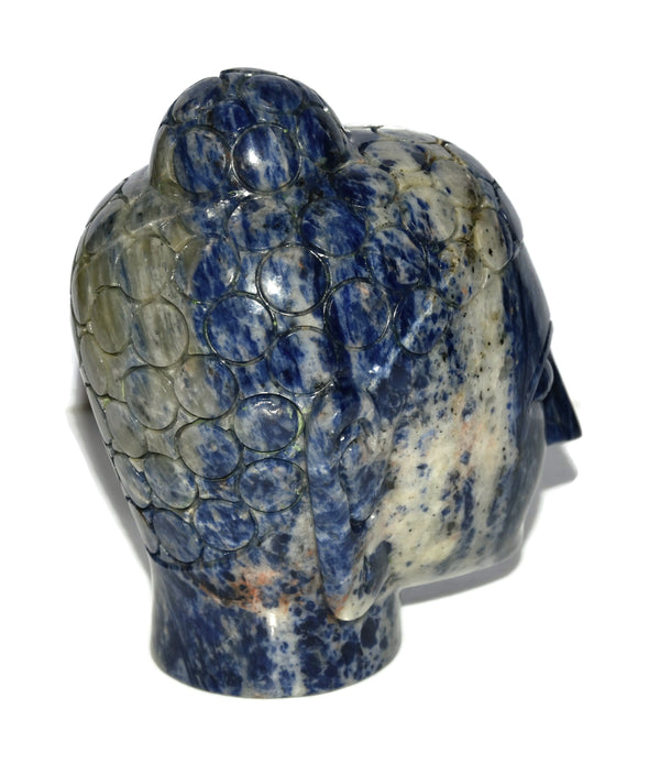 Sodalite Buddha Head - Healing Crystals India