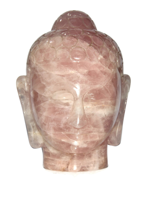 Rose Quartz Buddha Head - Healing Crystals India