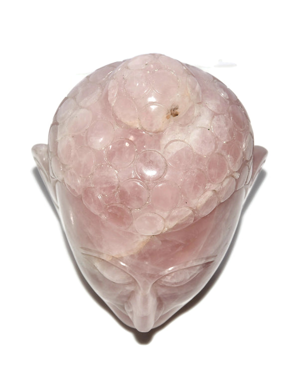 Rose Quartz Buddha Head - Healing Crystals India