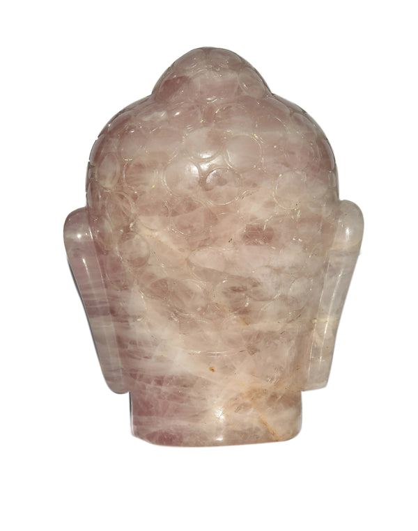 Rose Quartz Buddha Head - Healing Crystals India