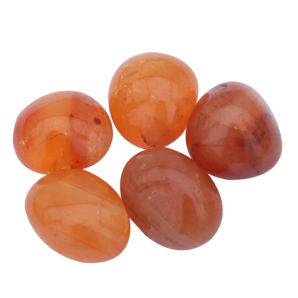 Carnelian Tumbled 5 Piece - Healing Crystals India