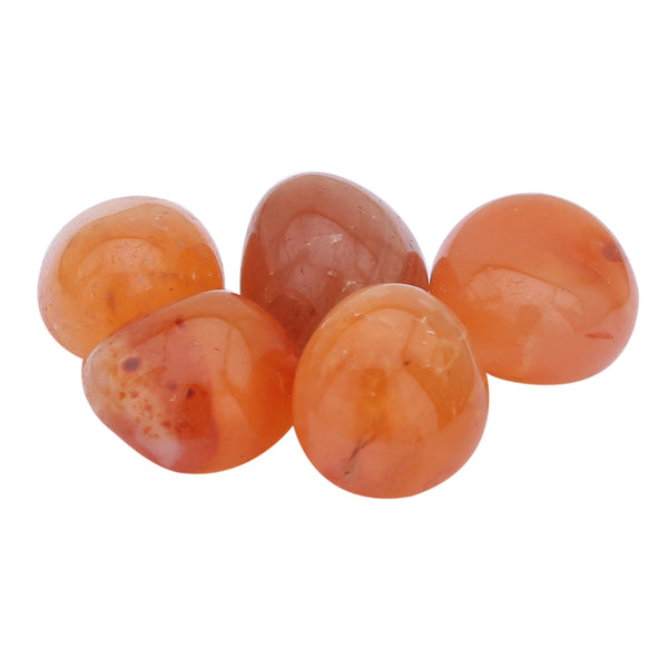 Carnelian Tumbled 5 Piece - Healing Crystals India