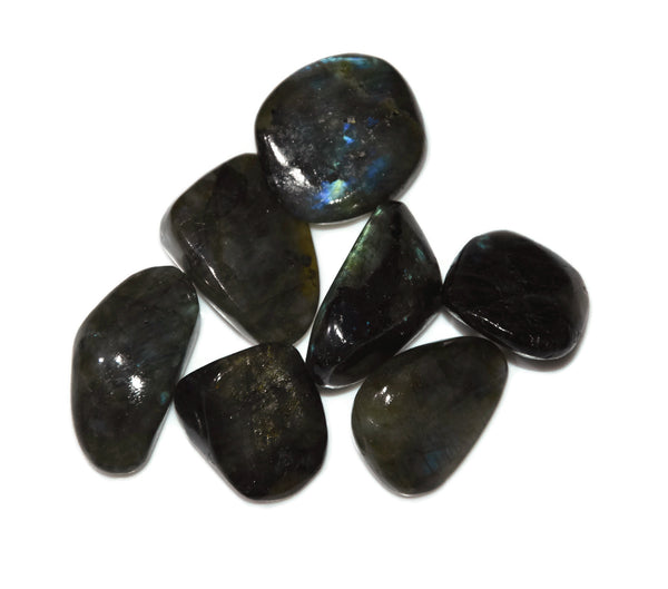 Buy Natural Labradorite Tumbles 10 Pieces