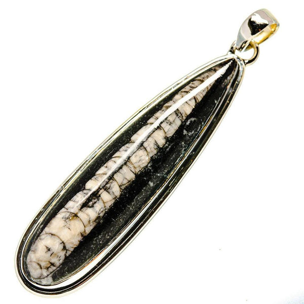 Buy Certified Orthoceras Crystal Pendant