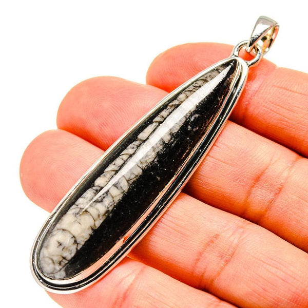 Orthoceras Pendant - Healing Crystals India